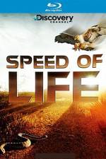 Speed of Life