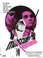 Masculin Fminin