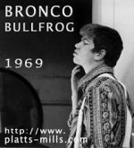 Bronco Bullfrog