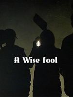 A Wise Fool