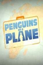 Penguins on a Plane