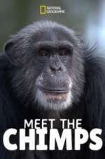 Meet the Chimps