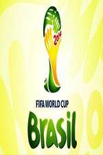 2014 FIFA World Cup