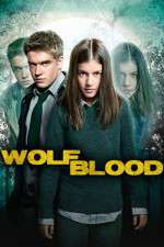 Wolfblood Secrets