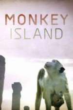 Monkey Island