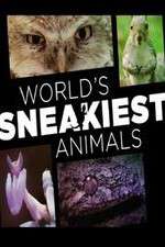 World's Sneakiest Animals