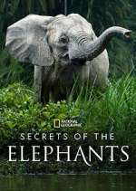 Secrets of the Elephants