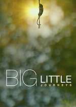 S1 E3 Big Little Journeys Season 1 Episode 3