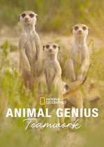 Animal Genius