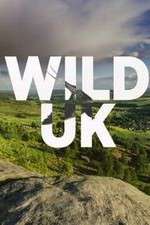 Wild UK