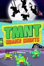 TMNT Summer Shorts