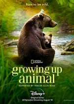 Growing Up Animal