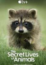 S1 E1 The Secret Lives of Animals Season 1 Episode 1