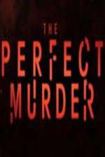 The Perfect Murder