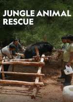 Jungle Animal Rescue