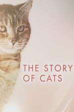 The Story of Cats