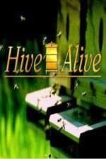 Hive Alive