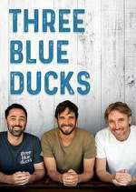 Three Blue Ducks