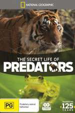 Secret Life of Predators