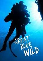 Great Blue Wild