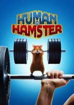 Human vs. Hamster