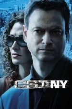 CSI: NY / New York