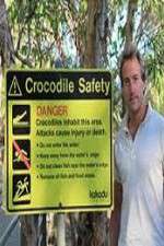 Swimming With Crocodiles