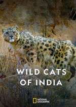 Wild Cats of India