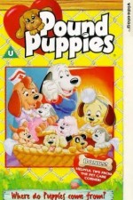 Pound Puppies