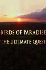 Birds of Paradise: The Ultimate Quest