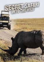 Secret Safari: Into the Wild