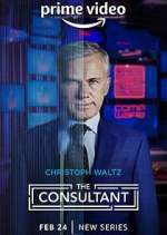 The Consultant