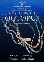 S1 E1 Secrets of the Octopus Season 1 Episode 1