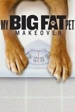 My Big Fat Pet Makeover