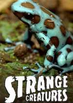 Strange Creatures