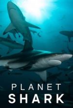 S1 E3 Planet Shark Season 1 Episode 3