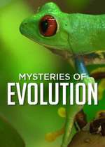 Mysteries of Evolution