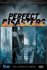 Perfect Disaster