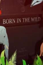 Born In The Wild