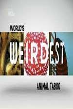 Wild Worlds Weirdest Animals Taboo