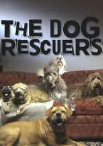 The Dog Rescuers with Alan Davies