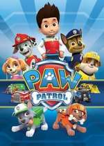 S9 E8 Paw Patrol Season 9 Episode 8