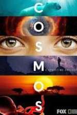 Cosmos A SpaceTime Odyssey