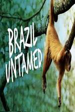 Brazil Untamed