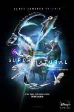 S1 E6 Super/Natural Season 1 Episode 6