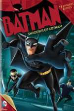 Beware the Batman: Shadows of Gotham