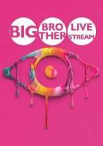 Big Brother: Live Stream