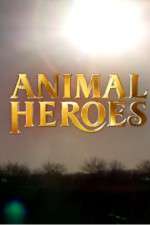 Animal Heroes