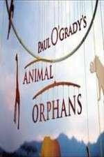 Paul O'Grady's Animal Orphans