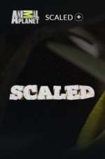 Scaled